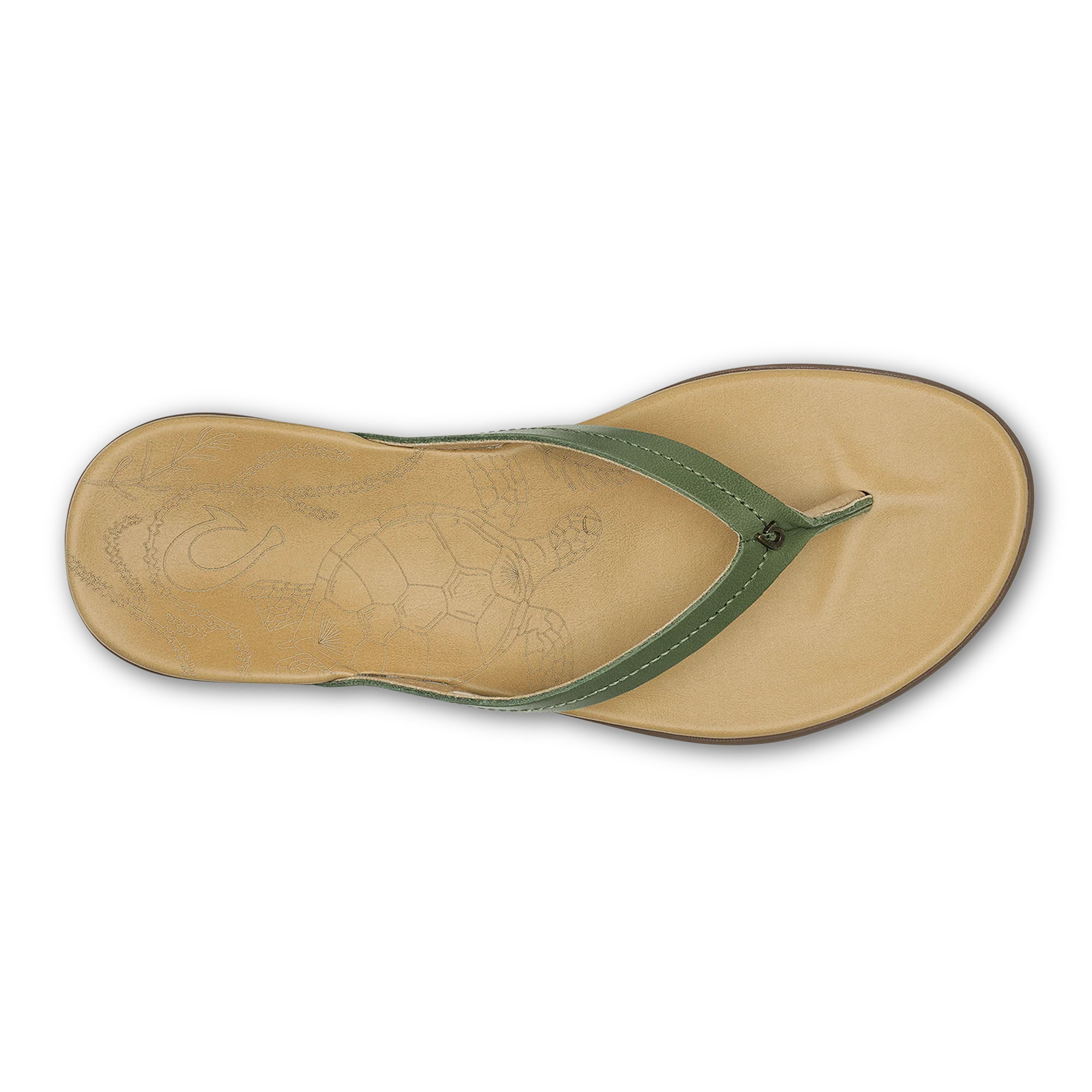 Honu  -  Green Olive / Golden Sand - Image 3
