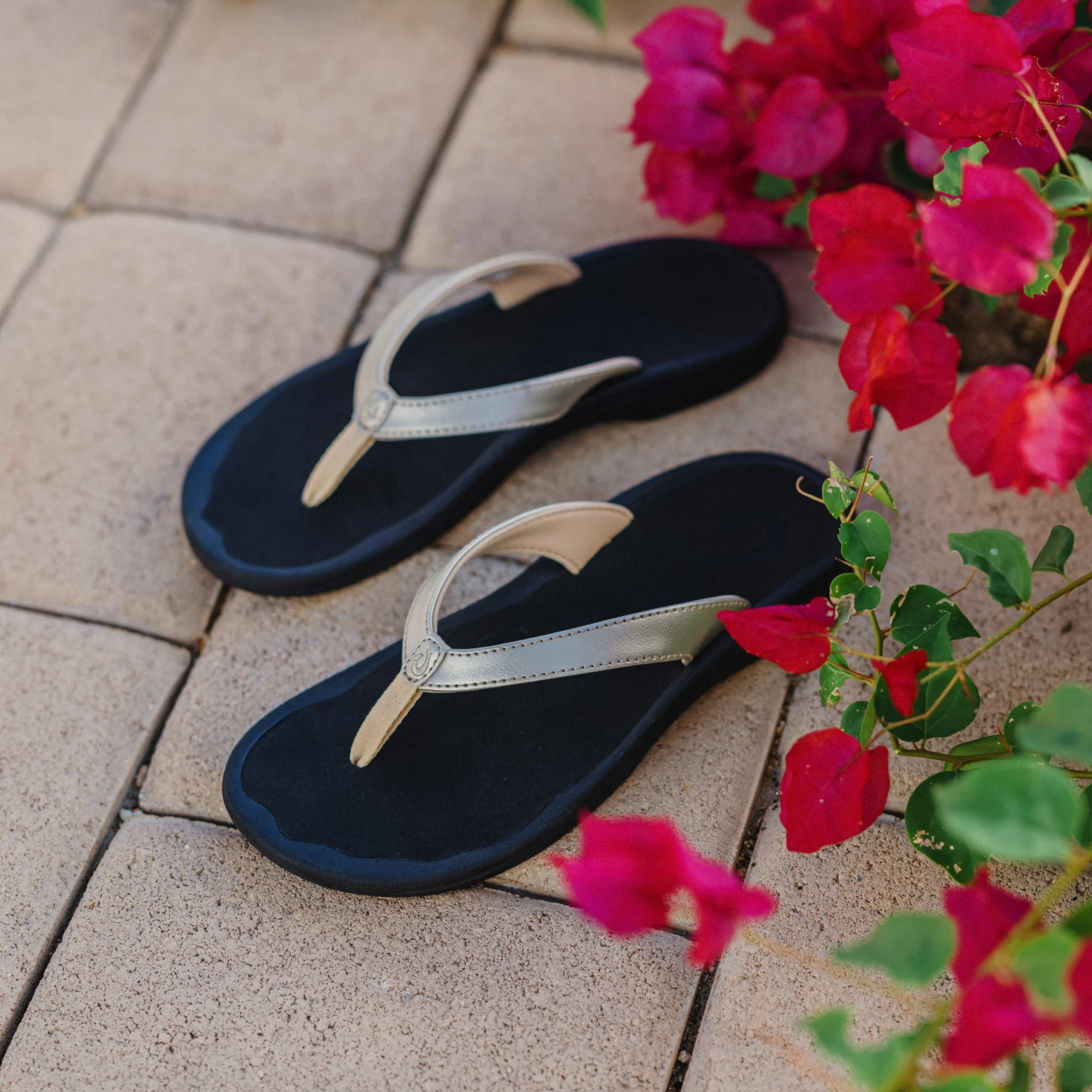 ʻOhana Lahi -  Gold / Black - Image 6